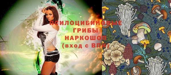 сатива Арсеньев