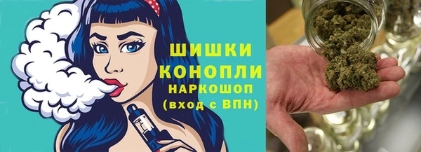 сатива Арсеньев