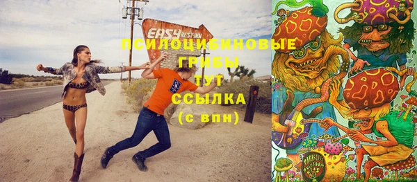 мяу мяу мука Аркадак