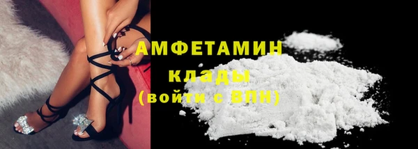 сатива Арсеньев