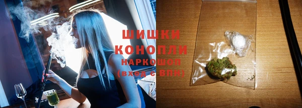 сатива Арсеньев