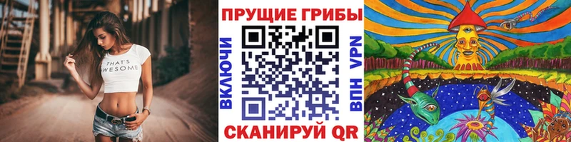 Галлюциногенные грибы MAGIC MUSHROOMS  Долгопрудный 
