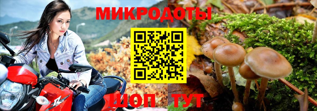 Галлюциногенные грибы GOLDEN TEACHER  Вход с VPN  Долгопрудный  Галлюциногенные грибы мицелий 