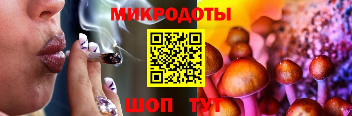 Галлюциногенные грибы Cubensis Долгопрудный