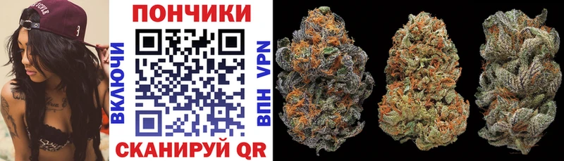 Марихуана индика где продают Долгопрудный